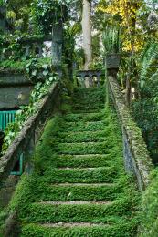 green stairs